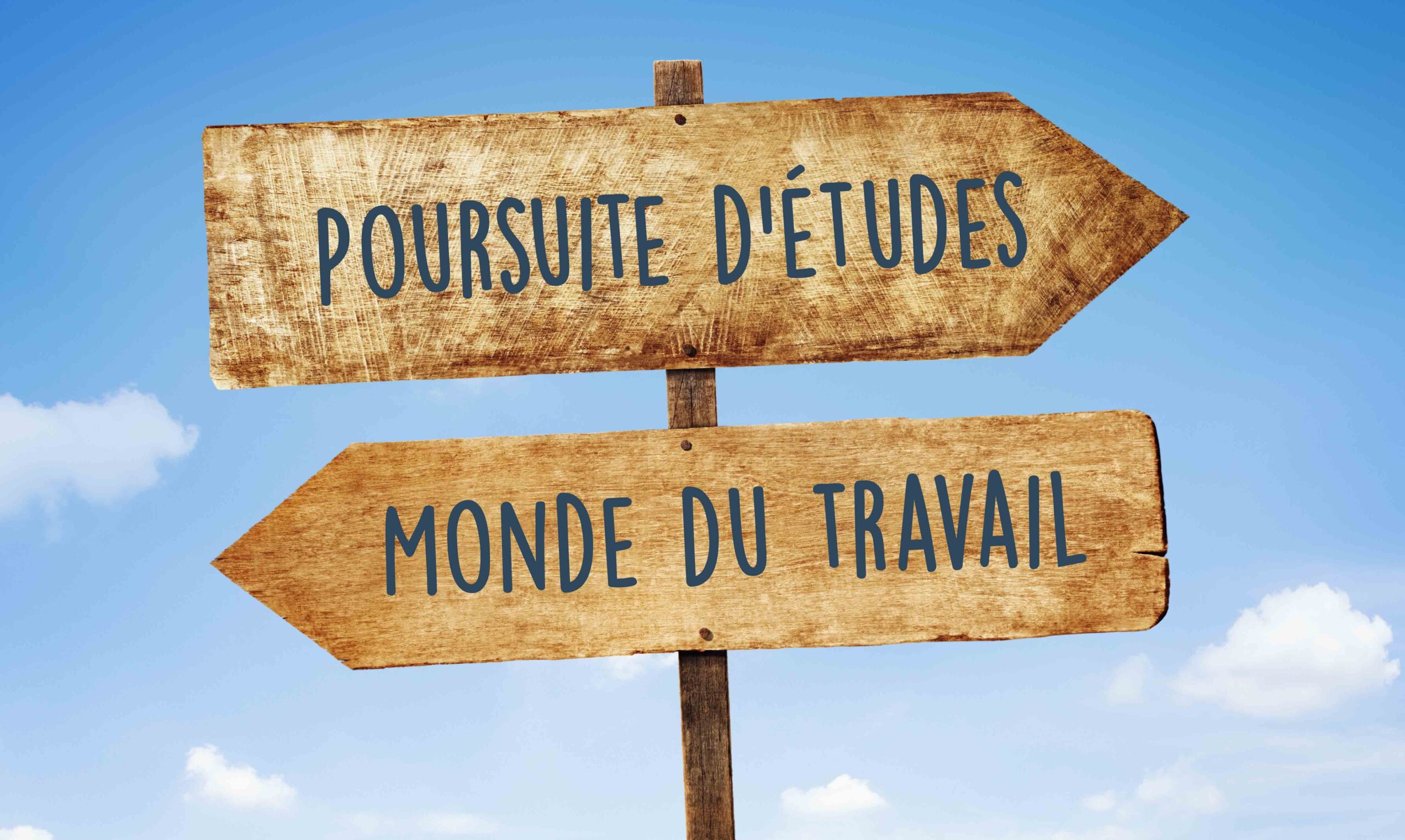 Que faire après un BTS